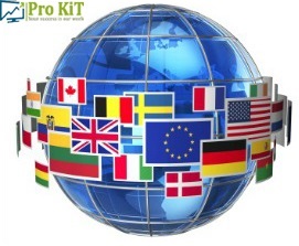 Global and Domestic Economy